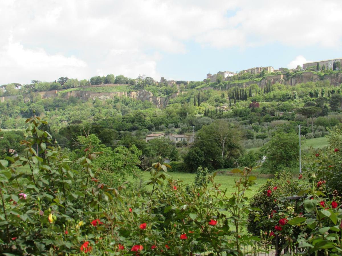 Casa Angolo Delle Rose Orvieto Exterior foto
